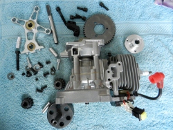 DSCN2820 (640x480) (250x188).jpg