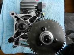 DSCN2826 (640x480) (250x188).jpg