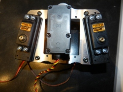 DSCN2933 (250x188).jpg