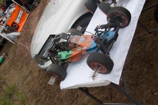 -7949 [1600x1200].jpg