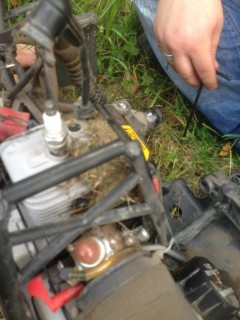 ImageUploadedByTapatalk 21375607159.671247.jpg