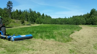 2016-06-16 21.31.53.jpg