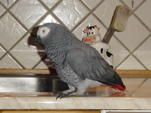 DSC02045.JPG