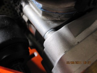 IMG_5175.JPG
