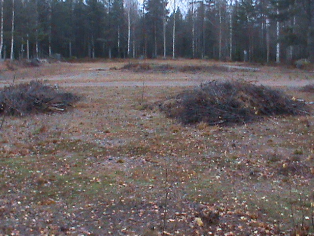 DSC00204.JPG